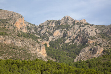 Fototapeta na wymiar Peaks and Pine Tree and Dam in Aixorta Mountain Range; Guadalest; Alicante; Spain