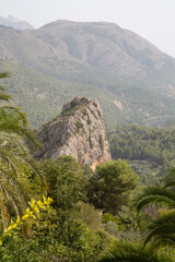 Peak and Pine Tree in Aixorta Mountain Range; Guadalest; Alicante; Spain