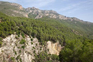 Fototapeta na wymiar Pine Tree and Peaks in Aixorta Mountain Range; Guadalest; Alicante; Spain