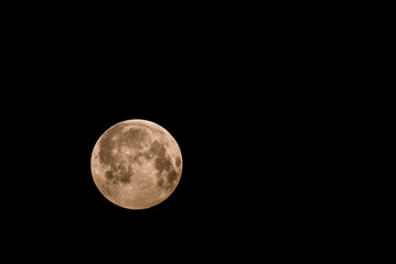 full moon in the night