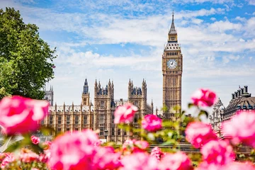  Big Ben, the Palace of Westminster in London, UK seen from public garden with flowers © Photocreo Bednarek