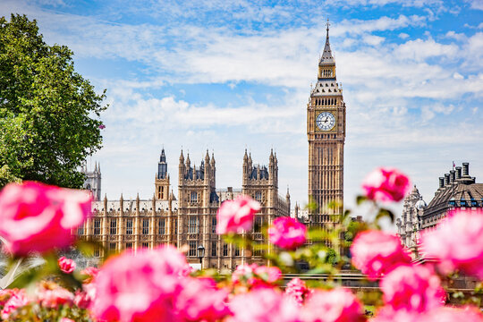 Big Ben, the Palace of Westminster in London, UK seen from public garden with flowers
