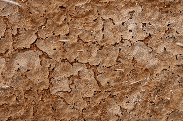 Dry cracked red clay with salt crystals in the desert in the bed of a dried up stream