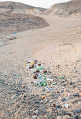 Plastic bottles and various garbage from hotels in the wild, Garbage dump in the desert in Egypt