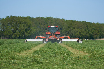 Rear view of red tractor with triple mowers mowing grass for silage