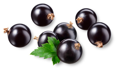 Black currant isolated. Currant black with leaves on white background. Perfect retouched currant berry with leaf. Berries with clipping path. Full depth of field..