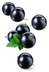 Black currant isolated. Currant black flying on white background. Perfect retouched currant berry...
