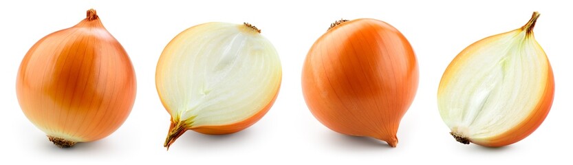 Onion bulbs isolated. Whole golden onion bulb and a half on white background. Onion set. Full depth...