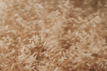 Paisajes italianos de la toscana