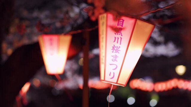 桜咲く目黒川の夜景・柔らかな灯りを灯す目黒川桜まつりの提灯（2023年3月）