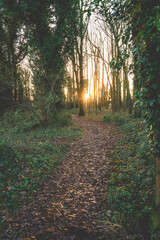 Norwich winter countryside 