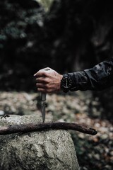 Vertical shot of a man sticking knife in a tree branch
