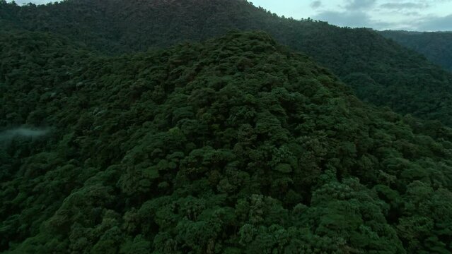 Aerial of mountains covered in trees in Mashpi biodiversity reserve, Ecuador.
