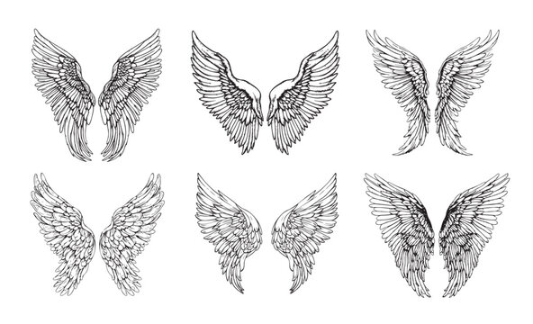 Wings SET sketch hand drawn in doodle style illustration