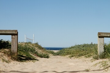 A road on a California beach with two woody things on both sides surrounded by grass.