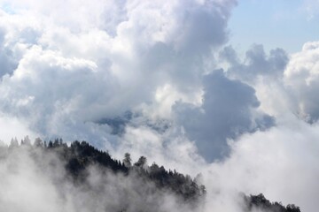 Fototapeta na wymiar Mountains in the clouds. higher than clouds. clouds like cotton.