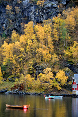 Flam Aurlandsfjord Norwegian Fjord Norway