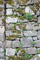 Old mossy stone wall background
