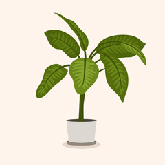 Illustration potted palm for the interior. Flat isolated.