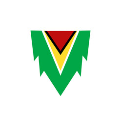 Guyana flag icon, illustration of national flag design with elegance concept, perfect for independence design
