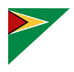 Guyana flag icon, illustration of national flag design with elegance concept, perfect for independence design