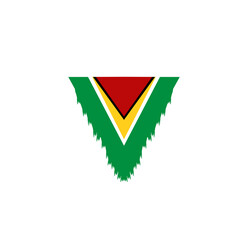 Guyana flag icon, illustration of national flag design with elegance concept, perfect for independence design