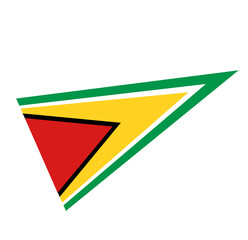 Guyana flag icon, illustration of national flag design with elegance concept, perfect for independence design