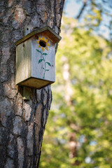 Wooden bird house (starling house) on tree trunk