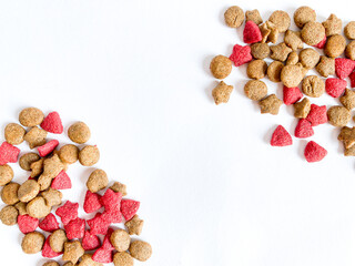 Dog food ready to eat on the white  background