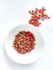 Dog food ready to eat on the white  background
