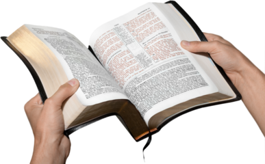 Closeup on Hands Holding an Open Bible