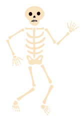 Halloween party holiday pumpkin spooky elements vector