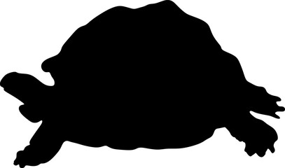 turtle silhouette vector file.background, illustration