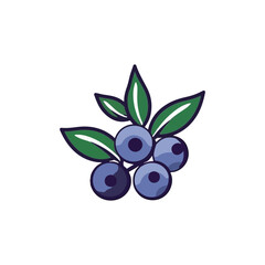 blueberry simple modern logo vector
