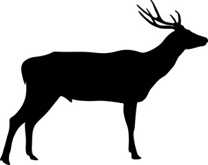 Vector black silhouette of a running deer isolated on white background.