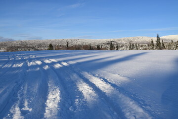 Fototapeta premium A snowmobile trail in a field, Québec, Canada