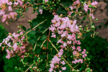 Zhejiang West Lake Gallery. Zhejiang West Lake Gallery is an important cultural destination and base of public art education of Zhejiang Province.