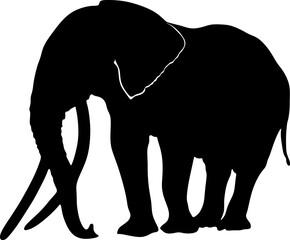 elephant silhouette, background, black, vector illustration