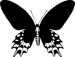 Butterfly icon or silhouette. Vector illustration.