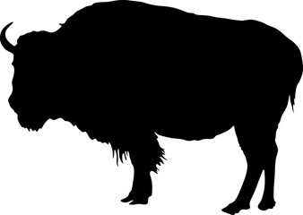 bison silhouette, background, black, vector, illustration