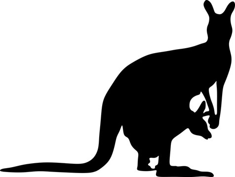 kangaroo silhouette,vector,illustration file