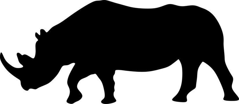 rhino silhouette icon, vector,illustration