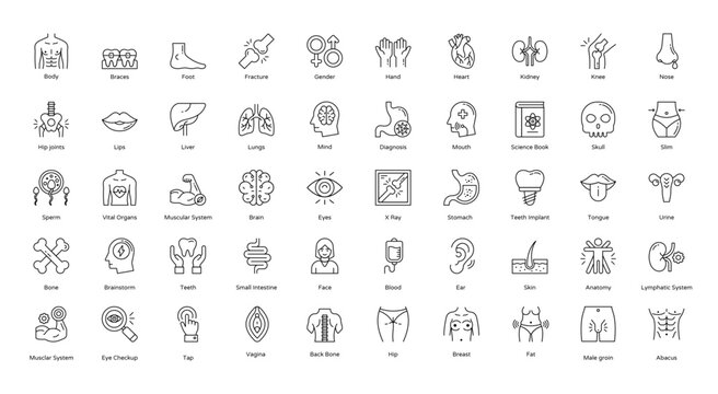 Anatomy Thin Line Icons Human Body Organ Icon Set in Outline Style 50 Vector Icons in Black