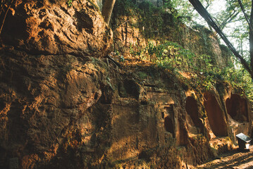 Xixi Hangzhou National Wetland Park  among which are scattered various ponds, lakes and swamps.