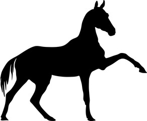 horse icon,silhouette,vector,illustration - obrazy, fototapety, plakaty
