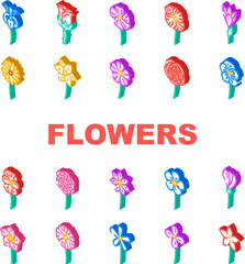 flower spring floral blossom icons set vector