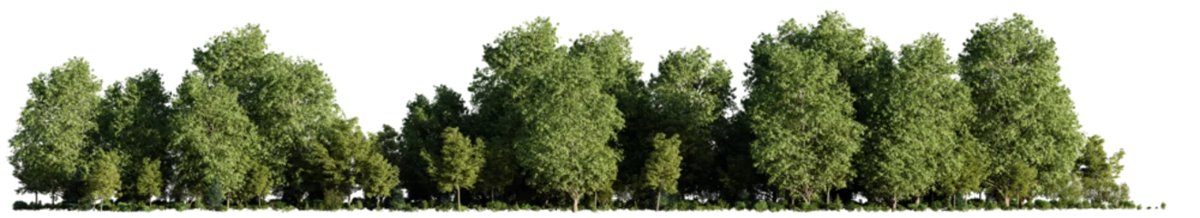 Rollo landscape with trees and bushes, isolated on transparent background panorama banner © dottedyeti