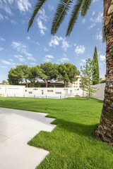 Fototapeta premium a garden with a lot of grass, white marble, trees and palm trees a good clear day