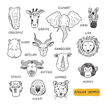 African animals funny faces vector line illustraions set.