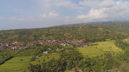 village among rice fields and terraces in Asia. aerial view farmland with rice terrace agricultural crops in countryside Indonesia, Bali.